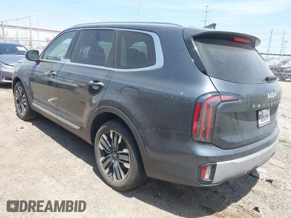 ✅ 2024 Kia Telluride SX • VIN: 5XYP54GC8RG441888 • Lot: 42046489. Listed on IAAI with Not provided. Free auction sales archive from the USA and detailed vehicle history report at DreamBid. Image 3.