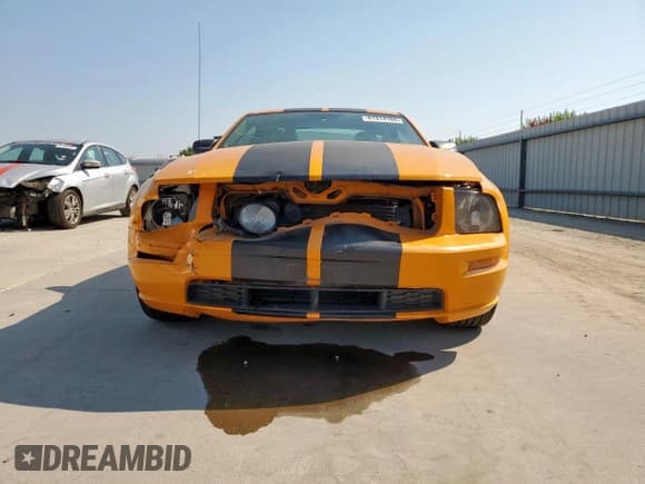✅ 2008 Ford Mustang GT Deluxe • VIN: 1ZVHT82H985138661 • Lot: 81414165. Listed on Copart with 97,023 mi. Free auction sales archive from the USA and detailed vehicle history report at DreamBid. Image 5.