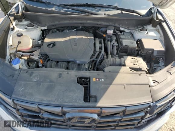 ✅ 2022 Hyundai Tucson SE • VIN: 5NMJACAE6NH087214 • Lot: 67255175. Wystawiony na Copart z przebiegiem 33 476 mil. Bezpłatny archiwum sprzedaży aukcyjnych z USA i szczegółowy raport historii pojazdu na DreamBid. Zdjęcie 12.