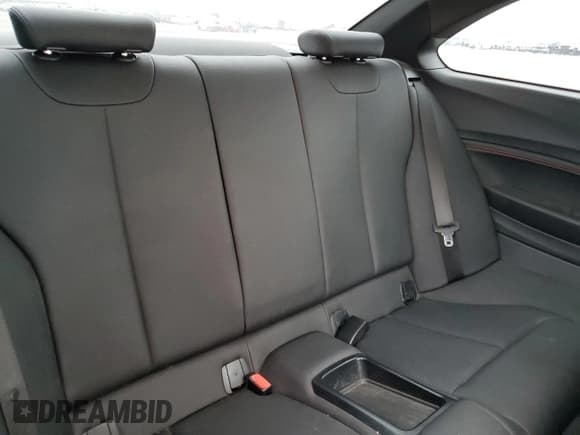 ✅ 2017 BMW 2 Series 230i • VIN: WBA2F9C37HV983997 • Lot: 59623525. Wystawiony na Copart z przebiegiem 78 523 mil. Bezpłatny archiwum sprzedaży aukcyjnych z USA i szczegółowy raport historii pojazdu na DreamBid. Zdjęcie 10.