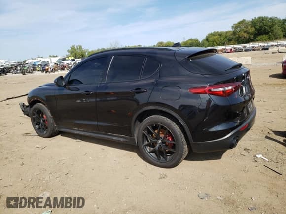 ✅ 2020 Alfa Romeo Stelvio • VIN: ZASPAKAN3L7C76015 • Lot: 71861285. Listed on Copart with 57,318 mi. Free auction sales archive from the USA and detailed vehicle history report at DreamBid. Image 2.