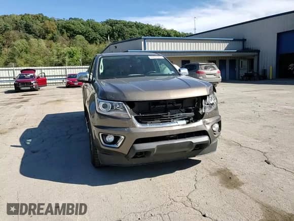 2015 Chevrolet Colorado 4WD LT with VIN 1GCHTBE3XF1151679, listed as a Copart auction lot 84437325 with 156,791 mi miles and Salvage title. Bid and sale history available at DreamBid. Image 14.
