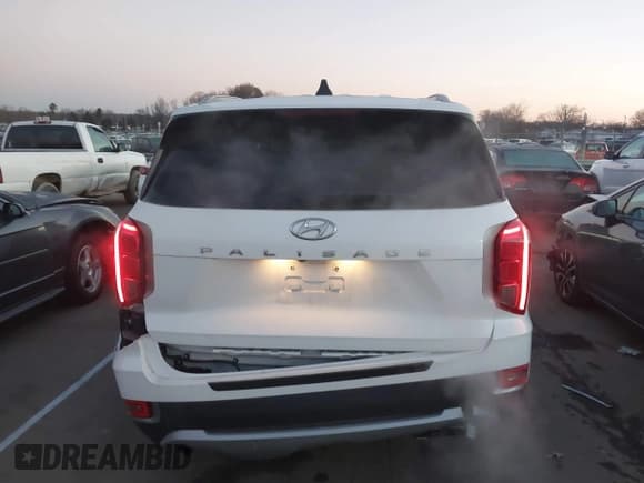 ✅ 2020 Hyundai Palisade SEL • VIN: KM8R44HE9LU122013 • Лот: 41205384. Опубликован ранее на IAAI с пробегом 42 057 миль. Бесплатный доступ к архиву аукционных продаж из США и подробный отчёт об истории автомобиля на DreamBid. Изображение 16.