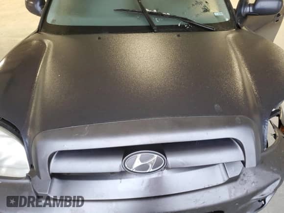 2006 Hyundai Santa Fe GLS z VIN KM8SC13D16U105454, wystawiony jako Copart lot #44218575 z przebiegiem 118 579 mil mil oraz Czysty tytuł • Clean title. Historia ofert i sprzedaży dostępna na DreamBid. Obrazek 12.