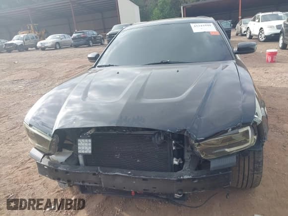 ✅ 2014 Dodge Charger RT Plus • VIN: 2C3CDXCT8EH361998 • Лот: 43343599. Опубликован ранее на IAAI с пробегом 11 289 миль. Бесплатный доступ к архиву аукционных продаж из США и подробный отчёт об истории автомобиля на DreamBid. Изображение 12.