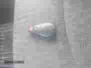 2016 Ram 1500 Big Horn with VIN 1C6RR7LT8GS184590, listed as a IAAI auction lot 43426971 with 89,558 mi miles and . Bid and sale history available at DreamBid. Image 11.