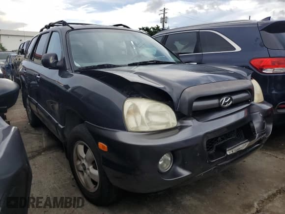 ✅ 2006 Hyundai Santa Fe GLS • VIN: KM8SC73E36U077765 • Лот: 69036785. Опубликован ранее на Copart с пробегом 80 120 миль. Бесплатный доступ к архиву аукционных продаж из США и подробный отчёт об истории автомобиля на DreamBid. Изображение 4.