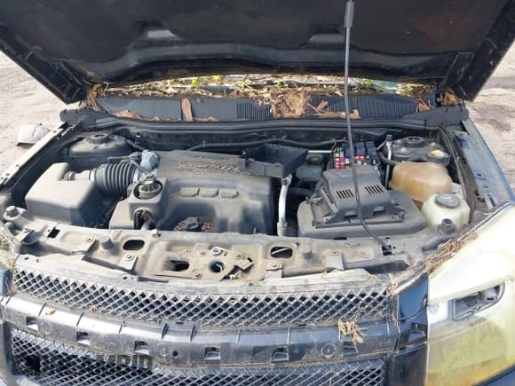 ✅ 2007 Chevrolet Equinox LS • VIN: 2CNDL13F476076915 • Лот: 42444441. Опубликован ранее на IAAI с пробегом Не указан. Бесплатный доступ к архиву аукционных продаж из США и подробный отчёт об истории автомобиля на DreamBid. Изображение 10.