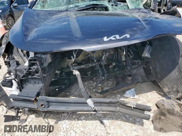 ✅ 2023 Kia Carnival LX • VIN: KNDNB4H3XP6211011 • Lot: 60995395. Listed on Copart with Not provided. Free auction sales archive from the USA and detailed vehicle history report at DreamBid. Image 12.