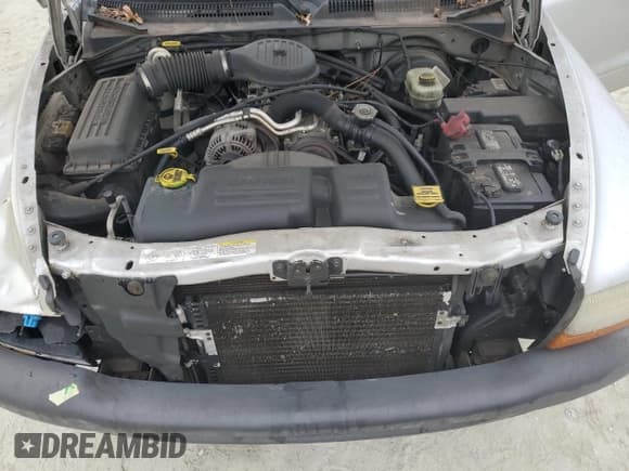 ✅ 2003 Dodge Dakota • VIN: 1D7HL12X13S325796 • Lot: 86339384. Wystawiony na Copart z przebiegiem 124 830 mil. Bezpłatny archiwum sprzedaży aukcyjnych z USA i szczegółowy raport historii pojazdu na DreamBid. Zdjęcie 11.