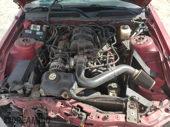 ✅ 2005 Ford Mustang Deluxe • VIN: 1ZVFT84N255250515 • Lot: 55279355. Listed on Copart with 182,633 mi. Free auction sales archive from the USA and detailed vehicle history report at DreamBid. Image 11.