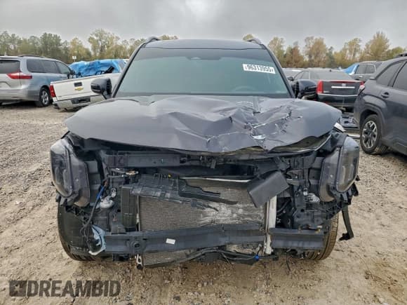 ✅ 2025 Kia Telluride SX X-Line • VIN: 5XYP5DGC1SG666949 • Lot: 96313955. Wystawiony na Copart z przebiegiem 2 168 mil. Bezpłatny archiwum sprzedaży aukcyjnych z USA i szczegółowy raport historii pojazdu na DreamBid. Zdjęcie 5.