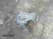 2017 Chevrolet Cruze LT with VIN 1G1BH5SE1H7232156, listed as a IAAI auction lot 42081488 with 133,999 mi miles and . Bid and sale history available at DreamBid. Image 12.