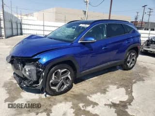 ✅ 2023 Hyundai Tucson Limited • VIN: 5NMJECAE9PH184351 • Lot: 64884794. Wystawiony na Copart z przebiegiem 33 107 mil. Bezpłatny archiwum sprzedaży aukcyjnych z USA i szczegółowy raport historii pojazdu na DreamBid. Zdjęcie 1.