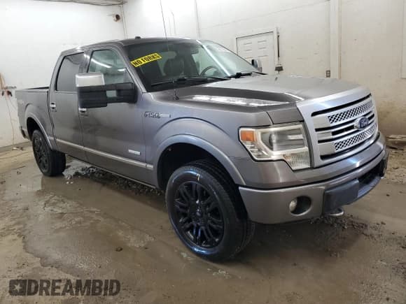 ✅ 2014 Ford F-150 Platinum • VIN: 1FTFW1ET5EFA49121 • Lot: 91666155. Listed on Copart with 161,606 mi. Free auction sales archive from the USA and detailed vehicle history report at DreamBid. Image 4.