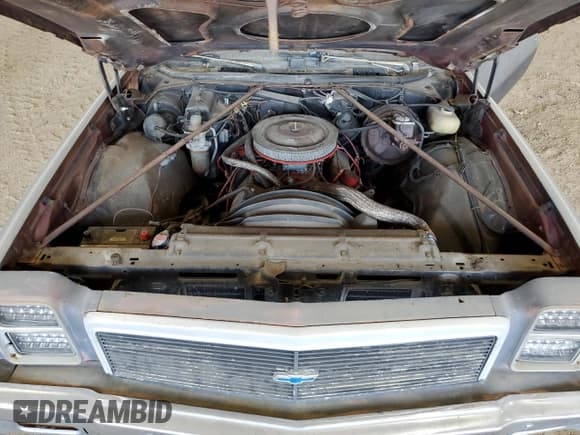 ✅ 1976 Chevrolet El Camino • VIN: 1C80Q6R444629 • Лот: 75904374. Опубликован ранее на Copart с пробегом 28 050 миль. Бесплатный доступ к архиву аукционных продаж из США и подробный отчёт об истории автомобиля на DreamBid. Изображение 11.