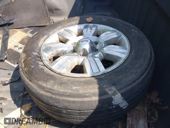 ✅ 2011 Ford F-150 XL • VIN: 1FTEX1CM6BFC34195 • Lot: 42559795. Listed on IAAI with 204,001 mi. Free auction sales archive from the USA and detailed vehicle history report at DreamBid. Image 12.