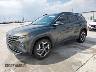 2022 Hyundai Tucson Limited with VIN KM8JECA15NU022912, listed as a Copart auction lot 81569305 with 40,162 mi miles and Salvage title. Bid and sale history available at DreamBid. Image 1.