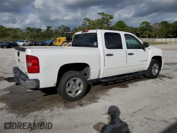 ✅ 2009 Chevrolet Silverado 1500 • VIN: 2GCFC135X91132117 • Lot: 74206224. Listed on Copart with 172,416 mi. Free auction sales archive from the USA and detailed vehicle history report at DreamBid. Image 3.