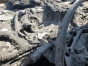 ✅ 2014 Hyundai Accent GS • VIN: KMHCT5AE0EU170222 • Лот: 70260454. Опубликован ранее на Copart с пробегом Не указан. Бесплатный доступ к архиву аукционных продаж из США и подробный отчёт об истории автомобиля на DreamBid. Изображение 9.