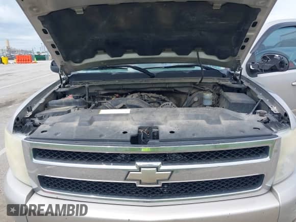 2007 Chevrolet Silverado 1500 1LT with VIN 2GCEK13M071568798, listed as a IAAI auction lot 42287095 with 308,994 mi miles and . Bid and sale history available at DreamBid. Image 10.