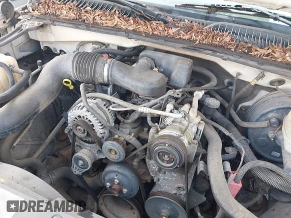 ✅ 2005 Chevrolet Silverado 1500 Work Truck • VIN: 1GCEC14X45Z145572 • Лот: 42811137. Опубликован ранее на IAAI с пробегом 283 450 миль. Бесплатный доступ к архиву аукционных продаж из США и подробный отчёт об истории автомобиля на DreamBid. Изображение 10.