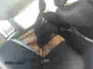 2020 Nissan Frontier SV with VIN 1N6ED0EA5LN705831, listed as a IAAI auction lot 43419879 with 45,411 mi miles and . Bid and sale history available at DreamBid. Image 8.