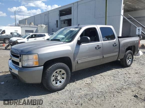 2009 Chevrolet Silverado 1500 LS with VIN 3GCEK13C19G156200, listed as a Copart auction lot 70571045 with 217,642 mi miles and Clean title. Bid and sale history available at DreamBid. Image 1.