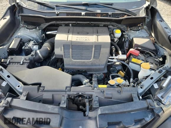 ✅ 2023 Subaru Forester Wilderness • VIN: JF2SKAMC2PH429232 • Lot: 81007805. Wystawiony na Copart z przebiegiem 24 929 mil. Bezpłatny archiwum sprzedaży aukcyjnych z USA i szczegółowy raport historii pojazdu na DreamBid. Zdjęcie 12.