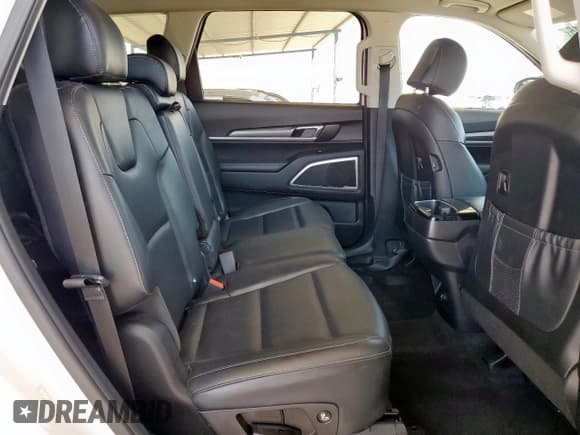 ✅ 2022 Kia Telluride LX • VIN: 5XYP2DHC3NG257055 • Lot: 68091215. Listed on Copart with 65,979 mi. Free auction sales archive from the USA and detailed vehicle history report at DreamBid. Image 11.