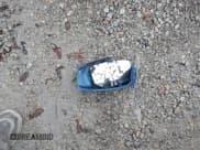 ✅ 2015 Dodge Dart SXT • VIN: 1C3CDFBB9FD193774 • Lot: 43760307. Wystawiony na IAAI z przebiegiem 143 885 mil. Bezpłatny archiwum sprzedaży aukcyjnych z USA i szczegółowy raport historii pojazdu na DreamBid. Zdjęcie 12.