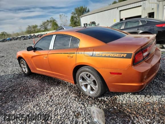 2011 Dodge Charger SE with VIN 2B3CL3CG0BH591445, listed as a Copart auction lot 84644175 with 218,463 mi miles and Salvage title. Bid and sale history available at DreamBid. Image 2.