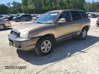 2004 Hyundai Santa Fe GLS z VIN KM8SC13E14U618502, wystawiony jako Copart lot #53357435 z przebiegiem 160 672 mil mil oraz Szkoda całkowita • Salvage title. Historia ofert i sprzedaży dostępna na DreamBid. Obrazek 1.