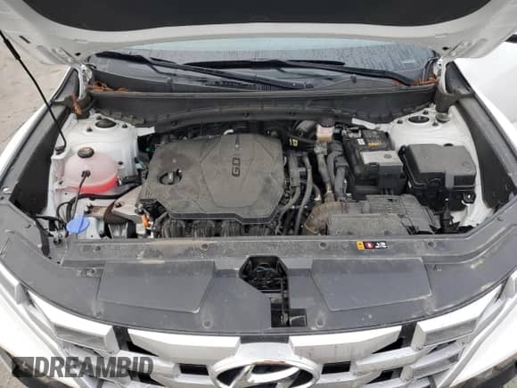 ✅ 2024 Hyundai Santa Cruz SEL • VIN: 5NTJBDDE7RH103106 • Лот: 82616614. Размещён на Copart с пробегом 12 985 миль миль. Получите бесплатный доступ к архиву аукционных продаж из США и посмотрите подробный отчёт об истории автомобиля на DreamBid. Изображение 11.