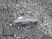 2015 Hyundai Genesis Coupe 3.8L Base с VIN KMHHT6KJ5FU130727, выставлен на аукционе Copart как лот 82225654 с пробегом 111 222 миль миль и Списание • Salvage title. История ставок и продаж доступна на DreamBid. Изображение 12.