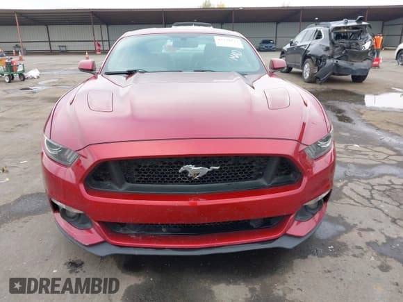 ✅ 2017 Ford Mustang GT • VIN: 1FA6P8CF9H5257490 • Lot: 43738172. Wystawiony na IAAI z przebiegiem 101 396 mil. Bezpłatny archiwum sprzedaży aukcyjnych z USA i szczegółowy raport historii pojazdu na DreamBid. Zdjęcie 13.