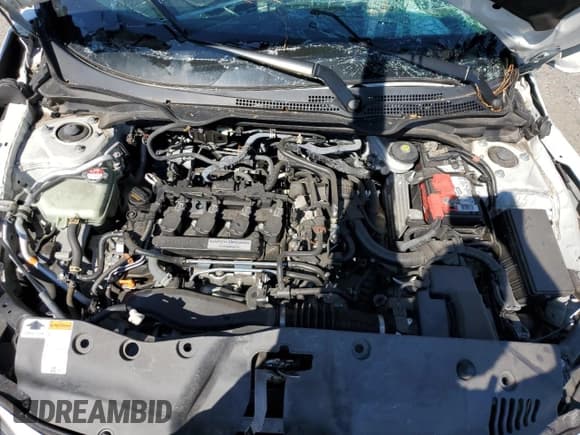 ✅ 2017 Honda Civic EX-L • VIN: 2HGFC3B72HH356472 • Lot: 81597915. Listed on Copart with Not provided. Free auction sales archive from the USA and detailed vehicle history report at DreamBid. Image 11.