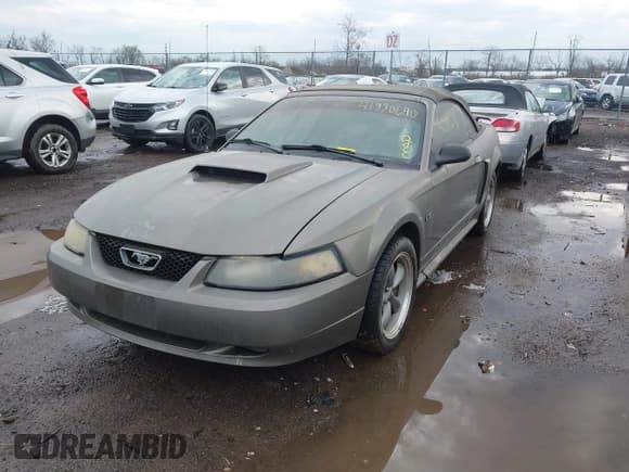 ✅ 2002 Ford Mustang GT Deluxe • VIN: 1FAFP45X32F169177 • Lot: 41880690. Listed on IAAI with 107,284 mi. Free auction sales archive from the USA and detailed vehicle history report at DreamBid. Image 2.