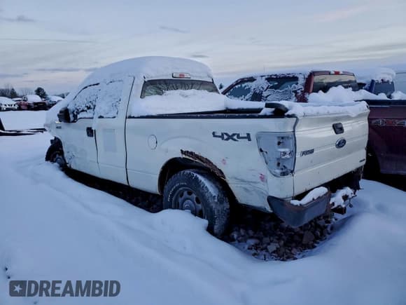 ✅ 2014 Ford F-150 XLT • VIN: 1FTFX1EF4EFB86915 • Lot: 93568085. Wystawiony na Copart z przebiegiem 231 892 mil. Bezpłatny archiwum sprzedaży aukcyjnych z USA i szczegółowy raport historii pojazdu na DreamBid. Zdjęcie 2.