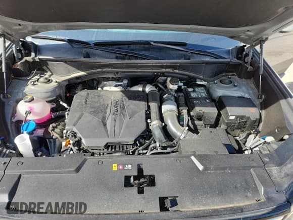 ✅ 2024 Hyundai Santa Fe SE • VIN: 5NMP1DGL3RH035079 • Lot: 69105845. Listed on Copart with 25,103 mi. Free auction sales archive from the USA and detailed vehicle history report at DreamBid. Image 12.