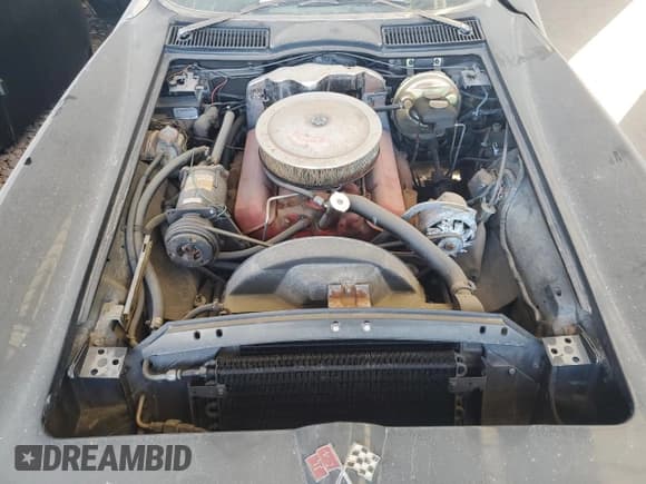 ✅ 1966 Chevrolet Corvette • VIN: 194676S120365 • Лот: 74227114. Опубликован ранее на Copart с пробегом 67 033 миль. Бесплатный доступ к архиву аукционных продаж из США и подробный отчёт об истории автомобиля на DreamBid. Изображение 11.