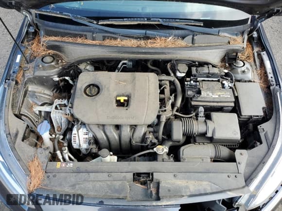 ✅ 2019 Kia Forte LXS • VIN: 3KPF24AD5KE124689 • Lot: 61783865. Listed on Copart with 23,693 mi. Free auction sales archive from the USA and detailed vehicle history report at DreamBid. Image 11.