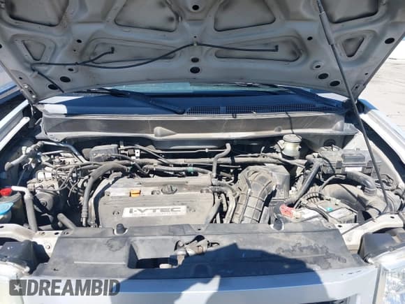 ✅ 2009 Honda Element LX • VIN: 5J6YH18349L003490 • Лот: 43458902. Опубликован ранее на IAAI с пробегом 205 836 миль. Бесплатный доступ к архиву аукционных продаж из США и подробный отчёт об истории автомобиля на DreamBid. Изображение 10.