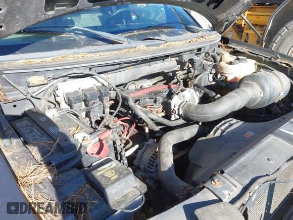 ✅ 2008 Ford F-150 XL • VIN: 1FTRF12288KB55728 • Lot: 43560381. Listed on IAAI with 175,929 mi. Free auction sales archive from the USA and detailed vehicle history report at DreamBid. Image 10.