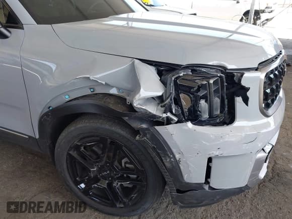 ✅ 2023 Kia Telluride EX X-Line • VIN: 5XYP3DGC0PG395945 • Lot: 42544923. Wystawiony na IAAI z przebiegiem 19 046 mil. Bezpłatny archiwum sprzedaży aukcyjnych z USA i szczegółowy raport historii pojazdu na DreamBid. Zdjęcie 6.