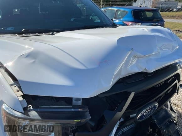 ✅ 2023 Ford F-150 XL • VIN: 1FTEX1EP9PKD01295 • Лот: 43658270. Опубликован ранее на IAAI с пробегом 8 181 миль. Бесплатный доступ к архиву аукционных продаж из США и подробный отчёт об истории автомобиля на DreamBid. Изображение 6.