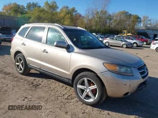 ✅ 2007 Hyundai Santa Fe SE • VIN: 5NMSH13E07H079727 • Lot: 43533369. Listed on IAAI with 244,421 mi. Free auction sales archive from the USA and detailed vehicle history report at DreamBid. Image 1.