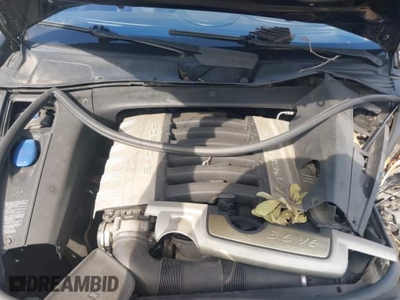 ✅ 2008 Porsche Cayenne • VIN: WP1AA29P48LA29166 • Лот: 42802452. Опубликован ранее на IAAI с пробегом 210 090 миль. Бесплатный доступ к архиву аукционных продаж из США и подробный отчёт об истории автомобиля на DreamBid. Изображение 10.