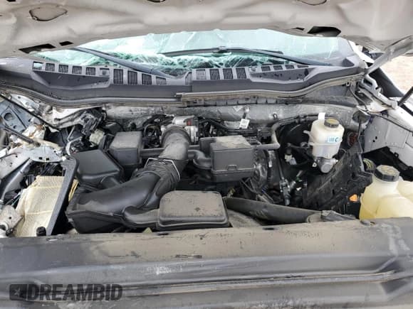 ✅ 2021 Ford F-250 XL • VIN: 1FT7W2A67MED96111 • Lot: 70377754. Wystawiony na Copart z przebiegiem Nie podano. Bezpłatny archiwum sprzedaży aukcyjnych z USA i szczegółowy raport historii pojazdu na DreamBid. Zdjęcie 13.