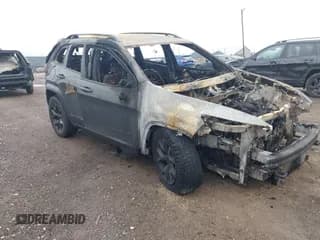 ✅ 2016 Jeep Cherokee Trailhawk • VIN: 1C4PJMBS5GW226625 • Lot: 40907721. Listed on IAAI with Not provided. Free auction sales archive from the USA and detailed vehicle history report at DreamBid. Image 1.